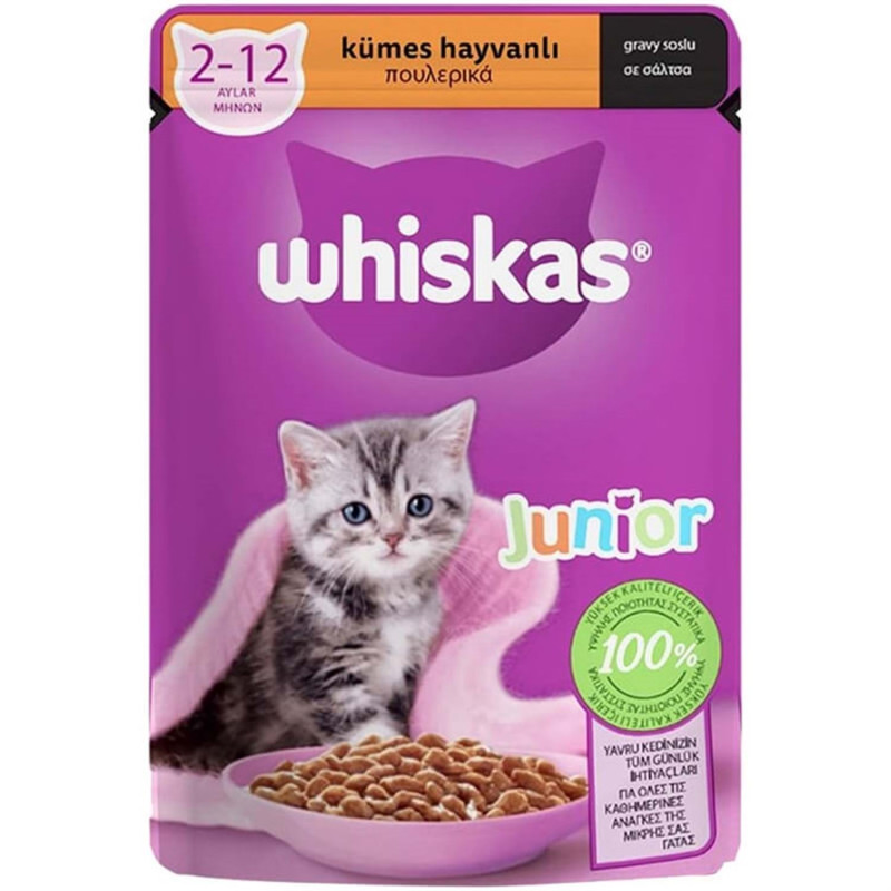 WHİSKAS POUCH KÜMES HAYVANLI JUNİOR 85 GR